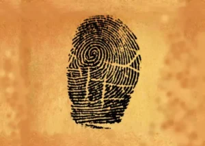 Is My Thumb Impression Safe Online?