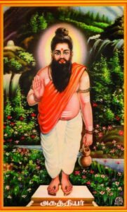 How Reliable Are Nadi Predictions? A Deep Dive