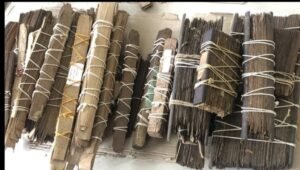 How Much Time Does a Nadi Reading Take?