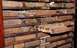 How Do I Search for My Leaf Online? Simple Guide